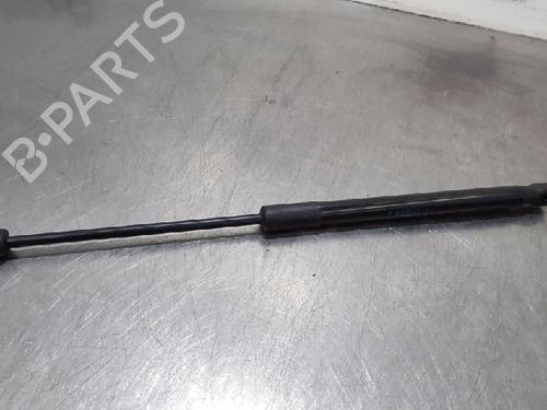Hood lift support BMW X1 (F48) sDrive 16 d | BP15020134C139 
