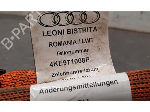 Used Cable AUDI E-TRON (GEN) 55 quattro (408 hp) 24137022
