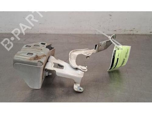 Hinge/Door check strap RENAULT TRAFIC III Van (FG_) 1.6 dCi 120 (FGMB, FGMC) | BP25479416C146