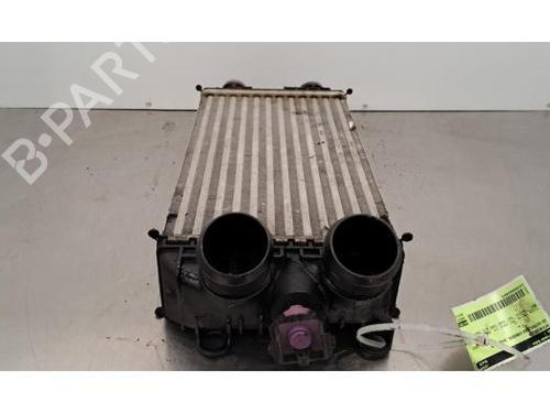 Intercooler DS DS 3 / DS 3 CROSSBACK (UR_, UC_, UJ_) 1.5 BlueHDi 130 (UCYHZR) | BP30194987M30 