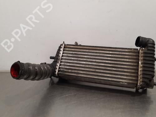 Used Intercooler FORD TOURNEO CONNECT / GRAND TOURNEO CONNECT V408 MPV 1.6 TDCi (115 hp) 20080530