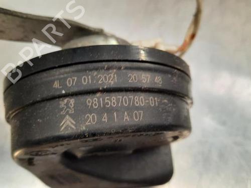 Horn PEUGEOT 5008 II (MC_, MJ_, MR_, M4_) 2.0 BlueHDi 180 (MJEHZW, MJEHZR, MJEHZP) | BP23617966E13 