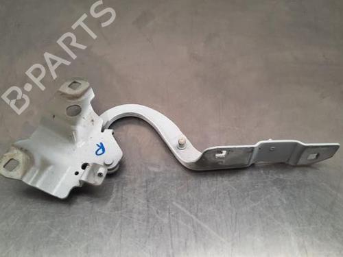 Hinge/Door check strap RENAULT ZOE (BFM_) ZOE (BFMD) | BP23599545C146 