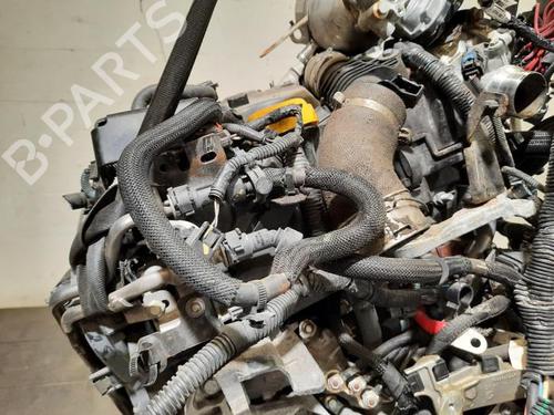 Engine RENAULT EXPRESS Box Body/MPV 1.5 Blue dCi 95 (F6AB) | BP28081716M1 