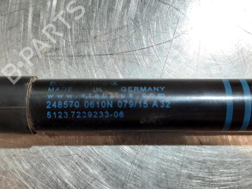 Hood lift support BMW 1 (F20) 116 d | BP23582889C139