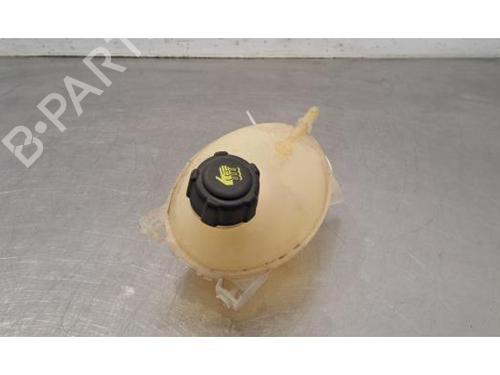 Used Expansion tank DACIA LODGY (JS_) 1.6 SCe 100 (JSAV) (102 hp) 29343992