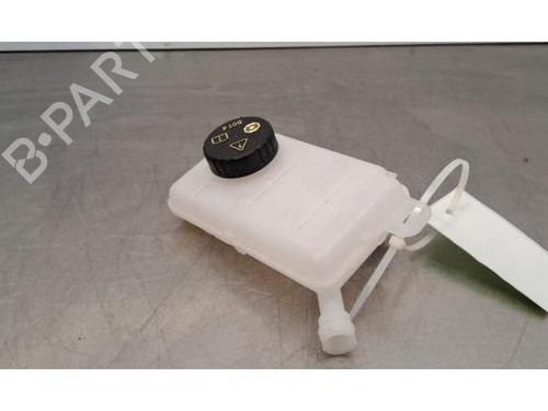 Used Brake fluid reservoir RENAULT TRAFIC III Van (FG_) 2.0 dCi 130 (FGMY) (131 hp) 30331752