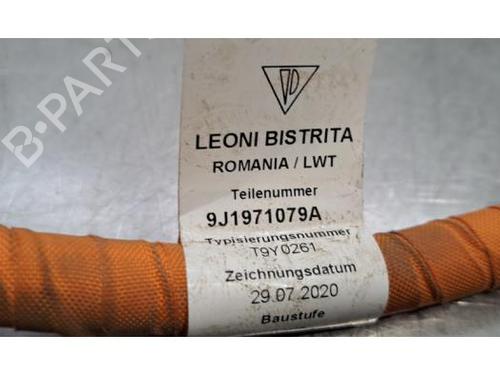 Cable PORSCHE TAYCAN (Y1A) Performance Battery Plus (Y1AAA1) | BP29621396E12 