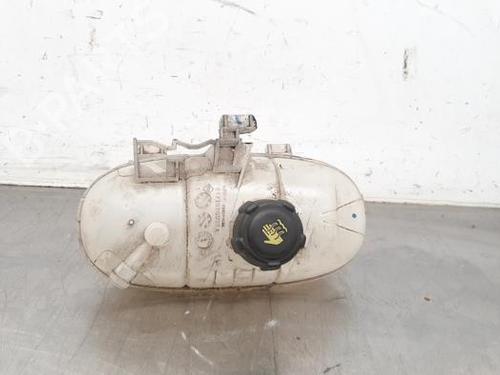 Used Expansion tank RENAULT TRAFIC III Van (FG_) 1.6 dCi 145 (FGMG) (145 hp) 23595998