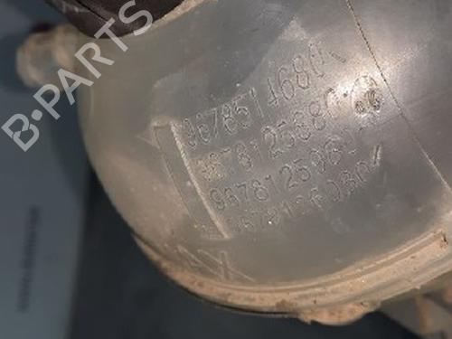 Expansion tank PEUGEOT 308 II (LB_, LP_, LW_, LH_, L3_) 1.6 HDi 100 | BP10874338C120 