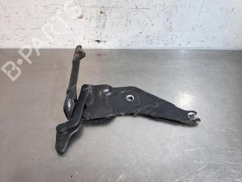 Hinge/Door check strap BMW X5 (E70) xDrive 50 i | BP19634279C146 