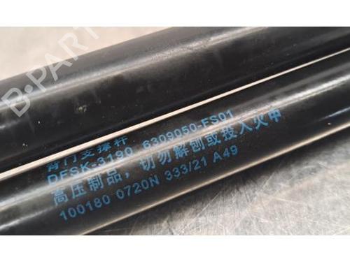Tailgate lift support FENGON GLORY 600 1.5 GDi | BP29844552C138 
