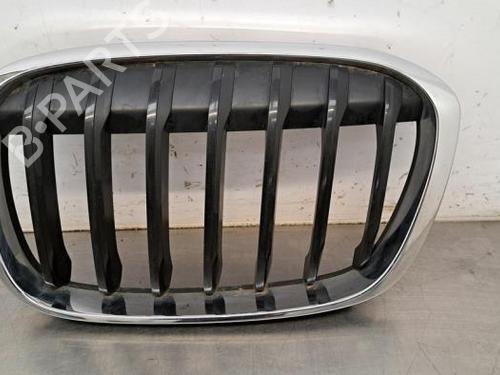Grill BMW X1 (F48) sDrive 16 d (116 hp) 23603298