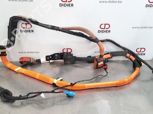 Used Cable RENAULT CLIO III (BR0/1, CR0/1) 1.6 16V (BR09, BR0T, CR09, CR0T) (88 hp) 10812722