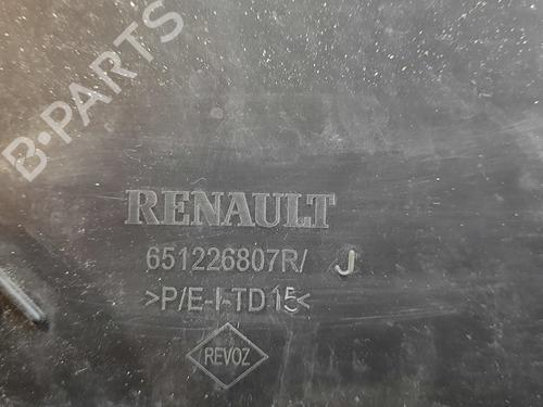 Hood RENAULT TWINGO III (BCM_, BCA_) 1.0 SCe 70 | BP17565529C1