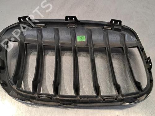 Grille BMW X1 (F48) sDrive 16 d | BP23603298C40 