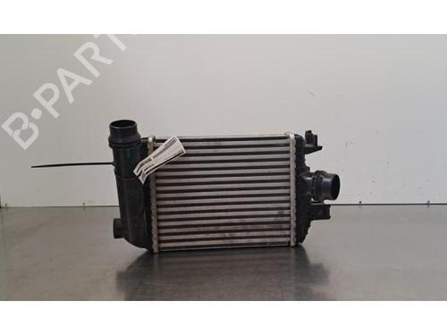 Used Intercooler Intercooler RENAULT ARKANA I (LCM_, LDN_) 1.3 TCe 160 (LDN1) (158 hp) 40284804 40284804
