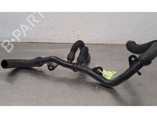 Pipe NISSAN JUKE (F16_) DIG-T 117 | BP29881641M125