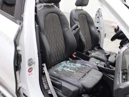Electronic module BMW X1 (F48) sDrive 18 d | BP10881409M83 