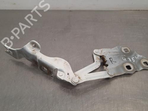 Hinge/Door check strap BMW X4 (F26) xDrive 20 d | BP17112874C146