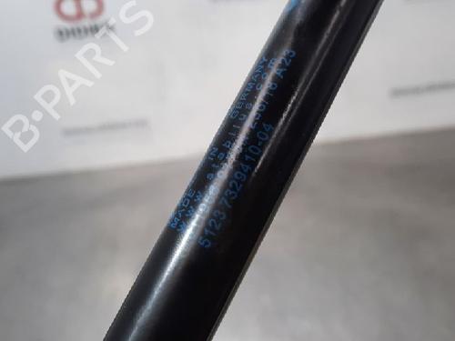 Hood lift support BMW X1 (F48) sDrive 16 d | BP15020133C139 