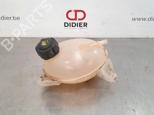 Used Expansion tank DACIA SANDERO II TCe 90 (B8M1, B8MA, B8AC) (90 hp) 10896062