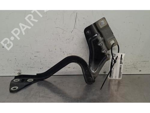Used Hinge/Door check strap Hinge/Door check strap RENAULT MEGANE IV Hatchback (B9A/M/N_) 1.6 TCe 205 (B9MV) (205 hp) 39646004 39646004