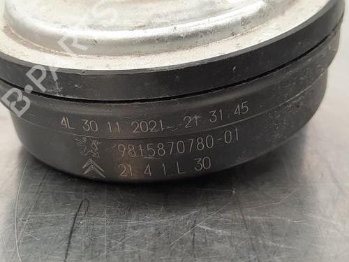 Horn PEUGEOT 3008 II SUV (MC_, MR_, MJ_, M4_) 1.6 PureTech 180 (M45GFR, M45GFU) | BP23609810E13 