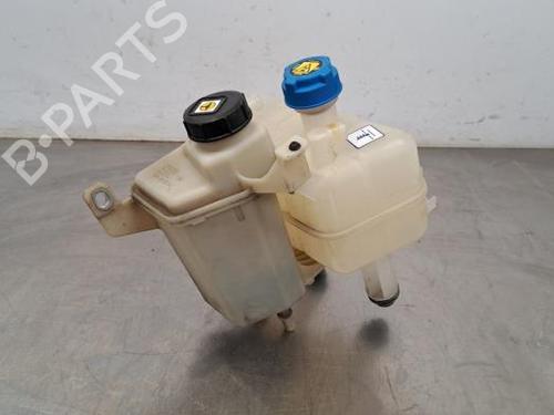Used Power steering reservoir FIAT DUCATO Bus (250_) 120 Multijet 2,3 D (120 hp) 23603137