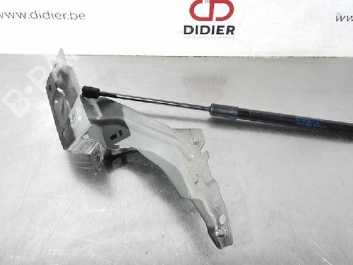 Used Hood lift support AUDI Q5 (FYB, FYG) 2.0 TDI (150 hp) 15018967