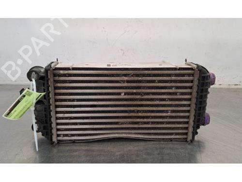 Used Intercooler CITROËN C4 III (BA_, BB_, BC_) 1.5 BlueHDi 130 (BBYHZB) (131 hp) 26303027