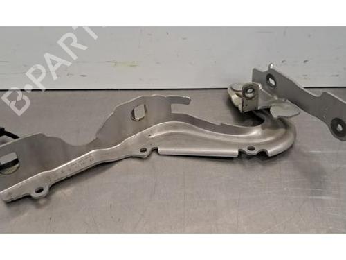 Used Hinge/Door check strap CITROËN C3 III (SX) 1.2 THP 110 (SXHNPS, SXHNZT, SXHNZ6) (110 hp) 31705534