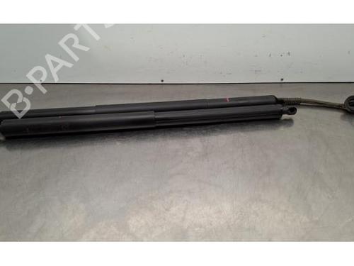 Used Tailgate lift support TESLA MODEL Y (5YJY) Long Range All-wheel Drive (514 hp) 31633849