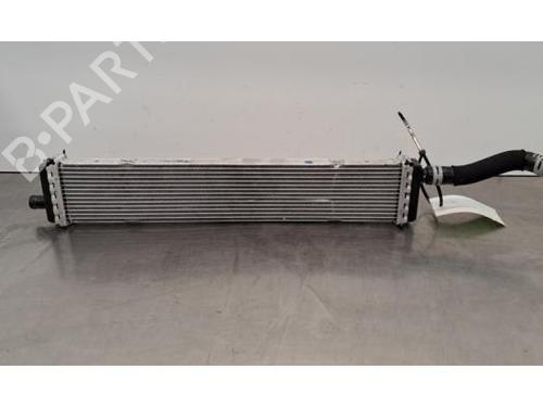 Used Water radiator RENAULT CLIO I (B/C57_, 5/357_) Electric (30 hp) 31088155
