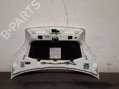 Hood FIAT FIORINO Box Body/MPV (225_) 1.3 D Multijet | BP19649456C1 