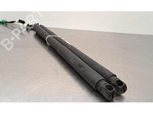 Tailgate lift support PEUGEOT 308 III (FB_, FH_, FP_, F3_, FM_) PureTech 130 (FPHNSL, FPHNST) | BP25777976C138 