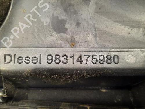 Fuel flap PEUGEOT 2008 II (UD_, US_, UY_, UJ_, UR_, UC_) 1.2 PureTech 130 (USHNS, URHNS) | BP23617341C131 