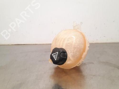 Used Expansion tank OPEL VIVARO C Van (K0) 2.0 (144 hp) 23584390