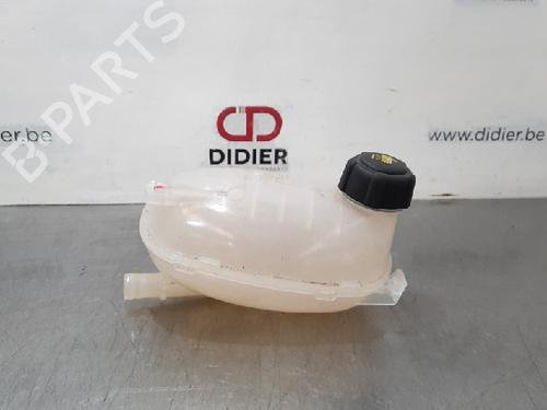 Used Expansion tank RENAULT CAPTUR II (HF_) TCe 100 (HFMT) (101 hp) 10890108
