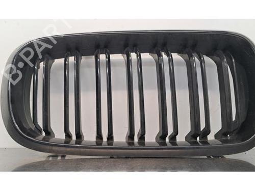 Used Grille BMW X5 (F15, F85) xDrive 30 d (258 hp) 26541016