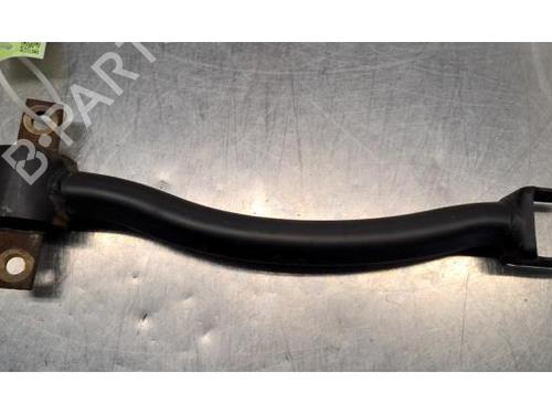 Left rear suspension arm RENAULT SCENIC E-TECH PHASE I EV87 | BP29817837M14 