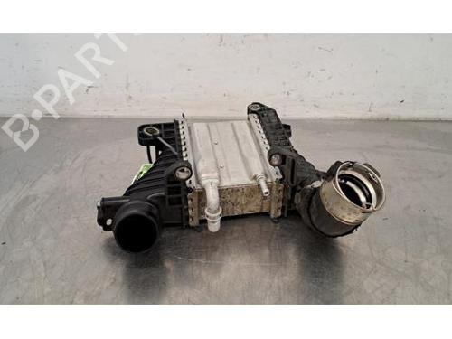 Used Intercooler RENAULT EXPRESS Box Body/MPV 1.5 Blue dCi 95 (F6AB) (95 hp) 24116675