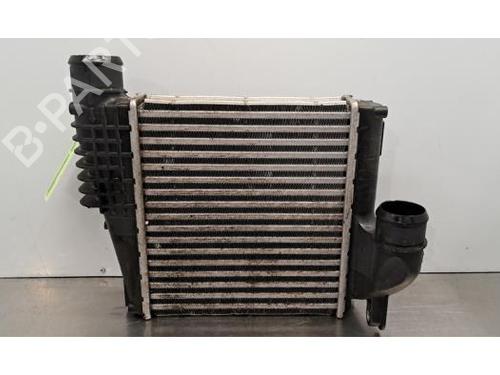 Used Intercooler DS DS 7 Crossback (J4_, JR_, JC_) E-TENSE 4x4 (J45GBU) (300 hp) 30381433
