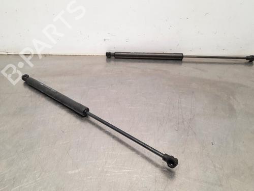 Gassdemper Bakluke PEUGEOT 208 II (UB_, UP_, UW_, UJ_) 1.2 PureTech 100 (101 hp) 15039581