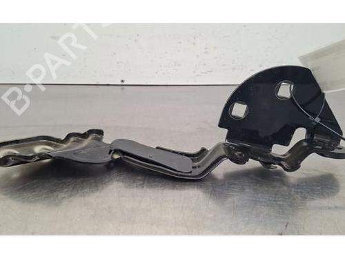 Hinge/Door check strap TESLA MODEL 3 (5YJ3) EV | BP36572836C146 - Image 2