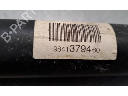 Right rear shock absorber CITROËN C4 X (BD_, BE_, BF_) 1.2 PureTech 100 (BDHNEA) | BP29600786M19 