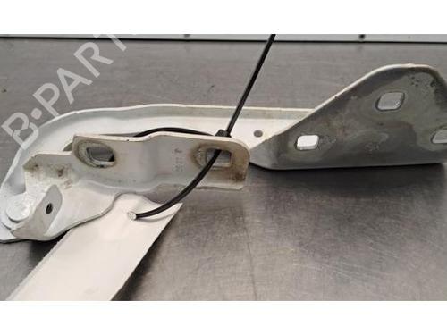 Hinge/Door check strap DACIA DUSTER (HM_) 1.2 TCe 125 (HMMA) | BP40483917C146 - Image 2