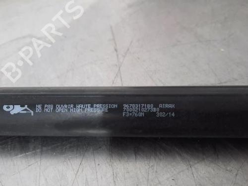 Tailgate lift support PEUGEOT 2008 I (CU_) 1.6 HDi | BP23642675C138