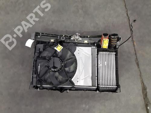 Used Front slam panel Front slam panel CITROËN C3 / C3 ORIGIN III (SX) 1.2 THP 110 (110 hp) 10869679 10869679