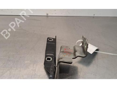 Hinge/Door check strap RENAULT TALISMAN (LP_) 2.0 Blue dCi 200 (LPAL) | BP32376516C146